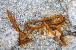 230811a_Kapp-Rubin_014_N
