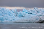 230812c_Rijpbreen_005_N
