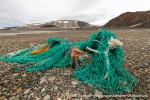 230813a_Vindbukta_23_N