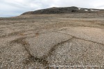 230813c_Torskevatnetdalen_04_N