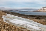 230813d_Zorgdragerfjord_16_N