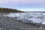 230814b_Karl-XII-oya_024_N
