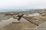 230815d_Ymerhytte_142_N