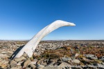 230817a_Von-Otteroya_71_N