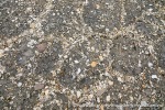 230818b_Binnebukta_050_N