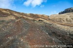 230820a_Grunnvaagen_051_N