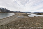 230822c_Ahlstrandhalvoya_89_N