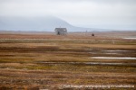 230823a_Erdmannflya_054_N