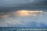 230910b_Isfjord_13_N