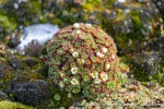 230912a_Dunoyane_34_N
