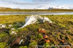 230912a_Dunoyane_69_N
