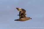 230912a_Dunoyane_77_N