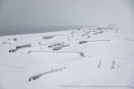 230917b_Smittoya_09_N