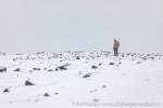 230917b_Smittoya_61_N