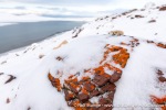 230918a_Snaddvika_093_N