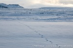 230918a_Snaddvika_125_N