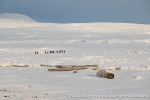 230920a_Danskeneset_027_N