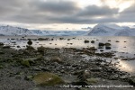 230920a_Danskeneset_065_N