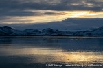 230921a_Kongsfjord_05_N