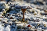 230922a_Eidembukta_099_N