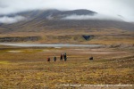 230827a_Flintholmen_48_N