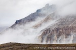 230827b_Blomesletta_099_N