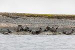 230828b_Fuglehuken_033_N