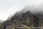 230828b_Fuglehuken_334_N