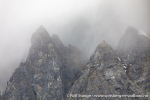230829b_Fuglefjord_029_N