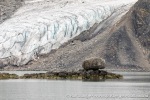 230829b_Fuglefjord_103_N
