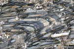 230830a_Crozierpynten_026_N