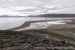 230830b_Eolusneset_122_N