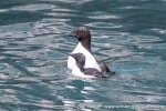 230831c_Alkefjellet_24_N