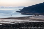 230903a_Phippsoya_051_N