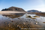 230903a_Phippsoya_069_N