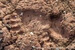 230904a_Worsleyneset_010_N