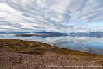 230904a_Worsleyneset_027_N