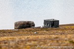 230904a_Worsleyneset_090_N