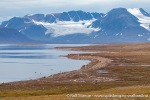 230904a_Worsleyneset_095_N