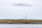 230905a_Ebeltofthamna_11_N