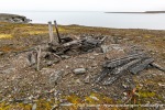 230905a_Ebeltofthamna_17_N