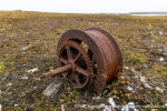 230905a_Ebeltofthamna_28_N