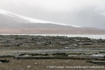 230906b_Poolepynten_21_N