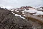 b8_Eolusneset-18Juli10-20_N