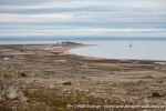 f3h_Eolusneset_06Juli13_056_N