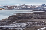f3h_Eolusneset_06Juli13_160_N