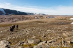f5h_Eolusneset_27Juli13_052_N