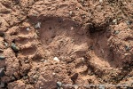 230904a_Worsleyneset_010_N