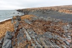 170801_Grahuken_063_N