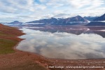 220723b_Woodfjord_020_N